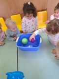 Програма Екоучилища - ДГ Слънце - Камено